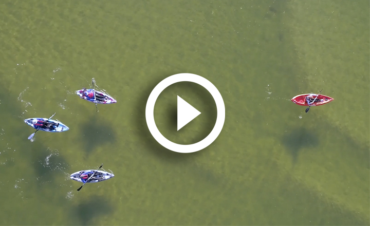 Image is not available