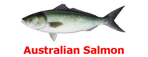 ᐅ Sussex Inlet fishing reports🎣• Australian Capital Territory